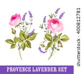Set Of Lavender Flowers Elements