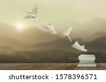 Small photo of White pigeons fly out of books that are flicked by the wind in beautiful light on sunset background.freedom concept and international day of peace