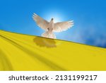 White Dove holding Ukraine flag Flying on blue sky to independence , freedom ,Pray for Ukraine and No war concept
