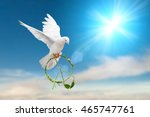 white dove holding green branch in pacification sign shape flying on blue sky for freedom concept in clipping path,international day of peace 2019 ,Pray for Ukraine and No war concept