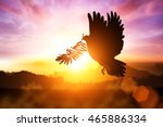 Silhouette Of Dove Carrying...