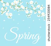 card with spring flowers on... | Shutterstock .eps vector #254920084