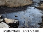 Natural tar water asphalt pit in swamp wetland.
