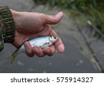 Small photo of Fish ablet in the hand of the fisherman