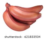 Red banana isolated on white background with clipping path