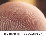 Macro shot of fingerprint pattern