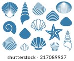 Set Of Various Blue Sea Shells...