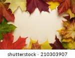 Autumn Maple Leaves On Paper ...