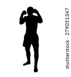 Silhouette Of A Muay Thai Or...