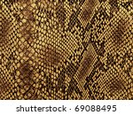 snake skin with the pattern lozenge style
