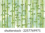 bamboo bamboo forest watercolor ...