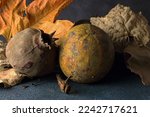 Small photo of DRIED SPOILT DISCOLORED POMEGRANATE FRUIT AND GEM SQUASH WITH DRY LEAVES ON BLUE SURFACE