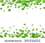 white background with fresh... | Shutterstock .eps vector #391516321