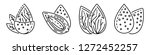 almond tree icon set. outline... | Shutterstock .eps vector #1272452257
