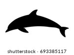 Dolphin Aquatic Mammal Vector...