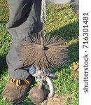 Small photo of Chimney sweeper tools round wire brush with weight and rope