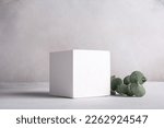 Mockup for cosmetic or other product. White cube pedestal with green eucalyptus branch on grey background