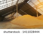 Wheat At Bulk Cargo Warehouse...