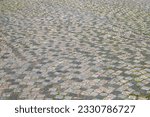 An old stoneblock pavement cobbled in an arc pattern with rectangular granite blocks with green grass between stones. Photo in perspective view with selective focus