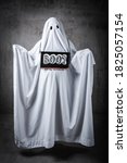 Small photo of Tentative shy ghost with a sign that says "Boo?"