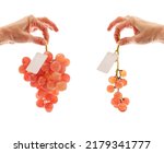 Small photo of Downsized bunches of grapes for sale comparison with blank price tags. Inflation concept