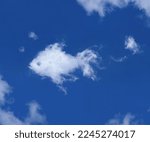 Soft wispy fish shaped cloud in ...