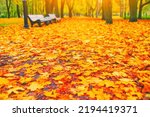 Morning blur in autumn park. Orange red maple leaves. Yellow forest tree on background. Fall season nature scene beauty. Bench alley in city garden. Path in woods, scenery in sun street Blurry bokeh