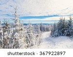 Beautiful snowy landscape in the Quebec eastern townships region, Canada