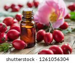 Rose Hips And Rose Hip Seed Oil ...
