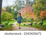 Small photo of Adorable preschooler girl looking at Canada geese in Park Bagatelle, Paris, France on a fall day