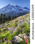 Mount Rainier Peak Free Stock Photo - Public Domain Pictures