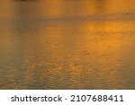 Ripples on the water surface of the sea, lake at sunset. The texture of the surface of the water. Natural sunset lighting, beautiful natural background