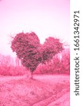Small photo of Fantasy surreal landscape. Heart shaped tree in field. Spring. Unadorned countryside rural life romance. Protect environment, climate change concept. Ecological creative background. Pink toned photo.