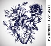 blooming anatomical human heart.... | Shutterstock .eps vector #503915164