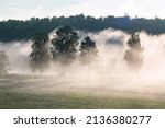 Rural Summer Landscapes With Fog