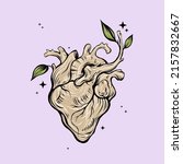 anatomical wooden heart... | Shutterstock .eps vector #2157832667