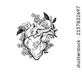 anatomical wooden heart... | Shutterstock .eps vector #2157832697