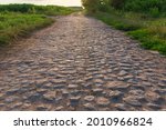 Rural road paved with cobblestone against the corn field and trees in summer evening