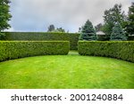 curved thuja hedge in a garden with trees and fir trees and a green lawn spring backyard landscape, nobody.