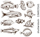 Set Of Fishes Isolated On A...
