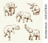 Hand Drawn Elephant Set