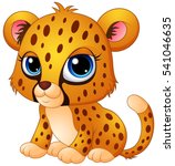 Baby Cheetah Face Free Stock Photo - Public Domain Pictures