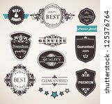 vector set of retro labels ... | Shutterstock .eps vector #125376764