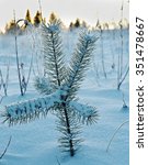 winter landscape.winter beauty... | Shutterstock . vector #351478667