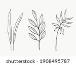 botanical leaves line art.... | Shutterstock .eps vector #1908495787