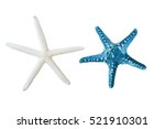 Star Fish Isolated On White Or...