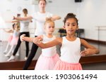 Young Female Classical Dance...