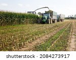 Small photo of PROVINCE OF GIRONA, SPAIN - OCTOBER 20, 2021: Process of mowing of fodder corn using modern agricultural equipment on organic farm. Autumn silage harvesting