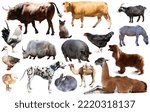 Collection of farm animals...