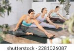 Small photo of Sedulous women trying hand to toe pose of yoga on black mat in light gym room with pot plants